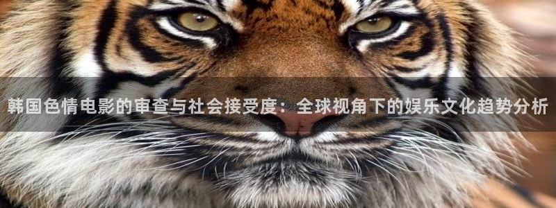 可可影视电视端怎么下载：韩国色情电影的审查与社会接受度：全球视角下的娱乐文化趋势分析