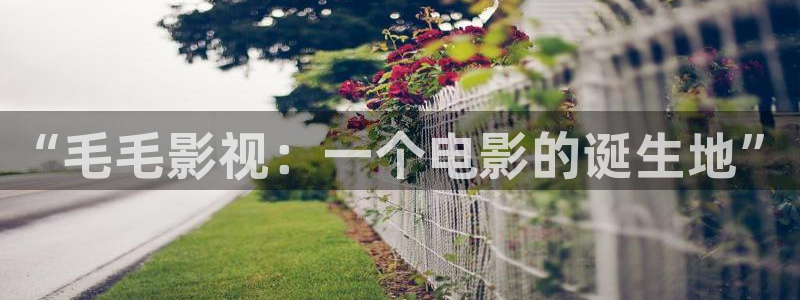 可可影视官网正版在线观看：“毛毛影视：一个电影的诞生地”