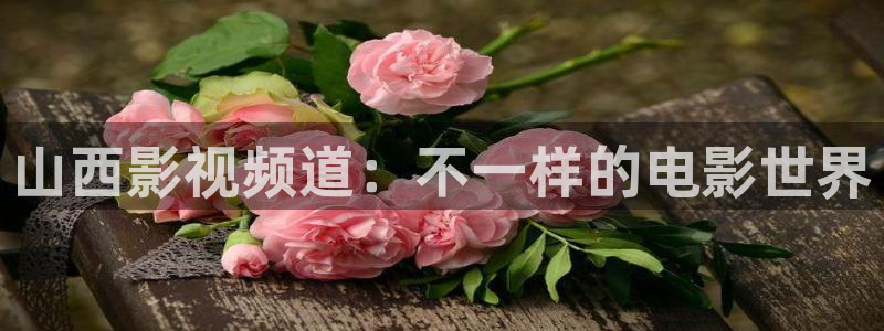 可可影视怎么登录：山西影视频道：不一样的电影世界