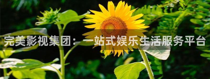 可可影视app官网：完美影视集团：一站式娱乐生活服务平台