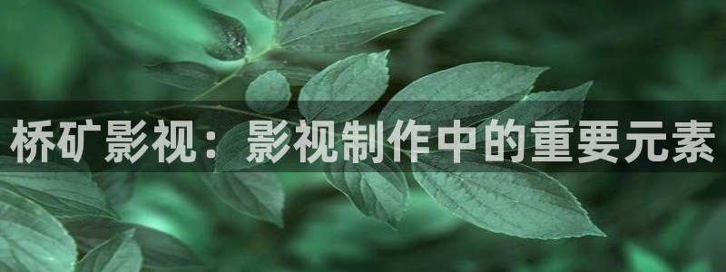 可可影视福利：桥矿影视：影视制作中的重要元素