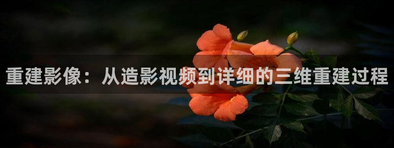 可可影视app下载官网：重建影像：从造影视频到详细的三维重建过程