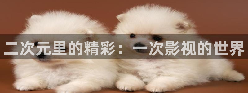 可可影视电脑版：二次元里的精彩：一次影视的世界