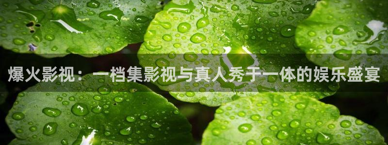 可可影视下载安装苹果：爆火影视：一档集影视与真人秀于一体的娱乐盛宴