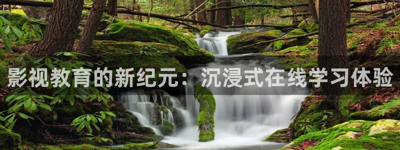 下载可可影视大全：影视教育的新纪元：沉浸式在线学习体验